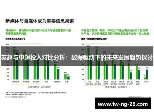 英超与中超投入对比分析：数据驱动下的未来发展趋势探讨