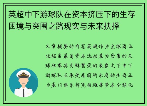 英超中下游球队在资本挤压下的生存困境与突围之路现实与未来抉择